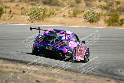media/Jun-01-2025-VIP Trackdays (Sun) [[b20349723e]]/A Group/Session 2 (Turns 7 and 8)/